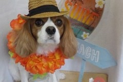 『リゾート良いわね☆』