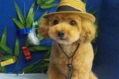 とっても可愛くなったね♪