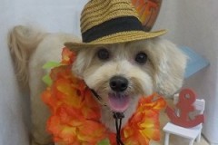 今日もふんわり♪