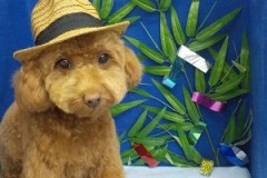 『スッキリ可愛くしてもらいました☆』