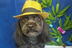 かっこよくなったでしょ！