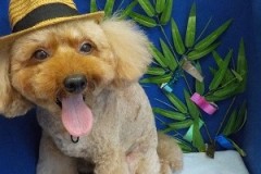 かっこよくなったぜ☆