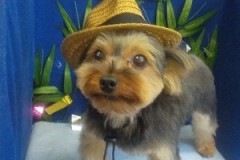 かっこよくなったー？