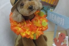 綺麗にしてくれてありがと！