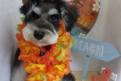 『カッコよくなったよね？』