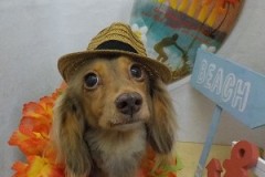 サッパリした♪