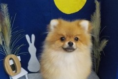 『ふわふわになりました♪』