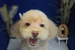 えへへ～終わった～♪