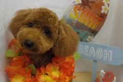 どう？可愛く撮れてる？