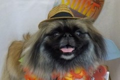 『涼しいからもっと遊べるね！』