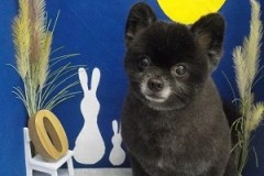 スッキリした～☆