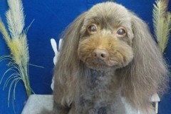 『今日もふわふわだね♪』