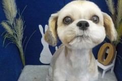 サッパリしたよ～☆