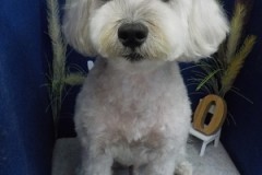 まるーいお顔になった☆