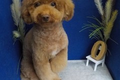 今日も丸くなった♬