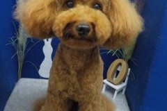 モヒカンいい感じ♬