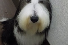 綺麗になった♬