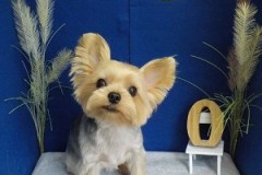 『スッキリツヤツヤになりました♪』