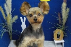 可愛く撮ってね！