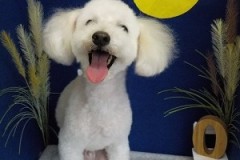 えへへ～終わった♪