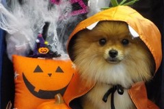 今日頑張ったよ☆