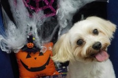 可愛くなった～？？