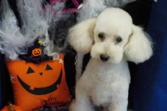 サッパリ綺麗になったよ♪