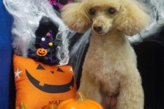 スッキリしたわ♪