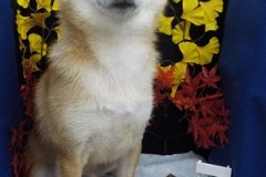 サッパリふわふわになったよ♬