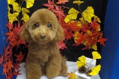 スッキリした～！！