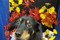 うん、サッパリした！！