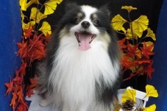 えへへ～サッパリした☆