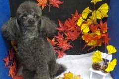 スッキリしたわ☆