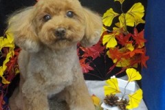 可愛くしてくれてありがと☆