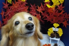 ん～すっきり☆★