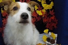 サッパリ☆スッキリ♪