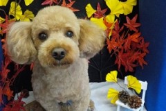 スッキリ可愛くなったよ♬