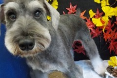 スッキリかっこよくなったぜ☆