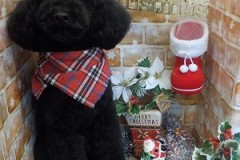 今日もカッコ良くしてくれてありがと！