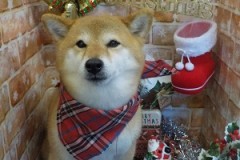 スッキリ綺麗になったよ☆