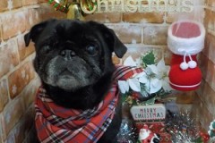 サッパリしたよ～☆