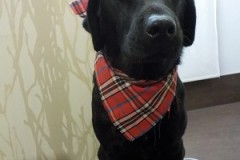 サッパリ綺麗になったよ☆