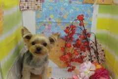 スッキリ小顔になったよ♬