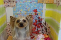 サッパリしたよ～☆