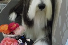 サラサラになったよ☆