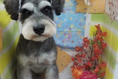 かっこよくなったよ☆