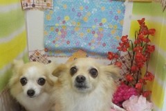 サッパリしたよ♬