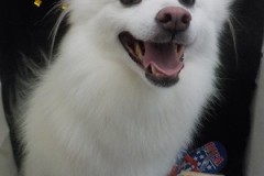 ふわっふわ～♫