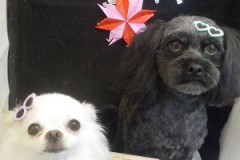 綺麗に可愛くなったよ♫