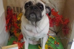 さっぱりした～☆